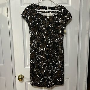 Talbots brown and black floral dress pencil 8 petite